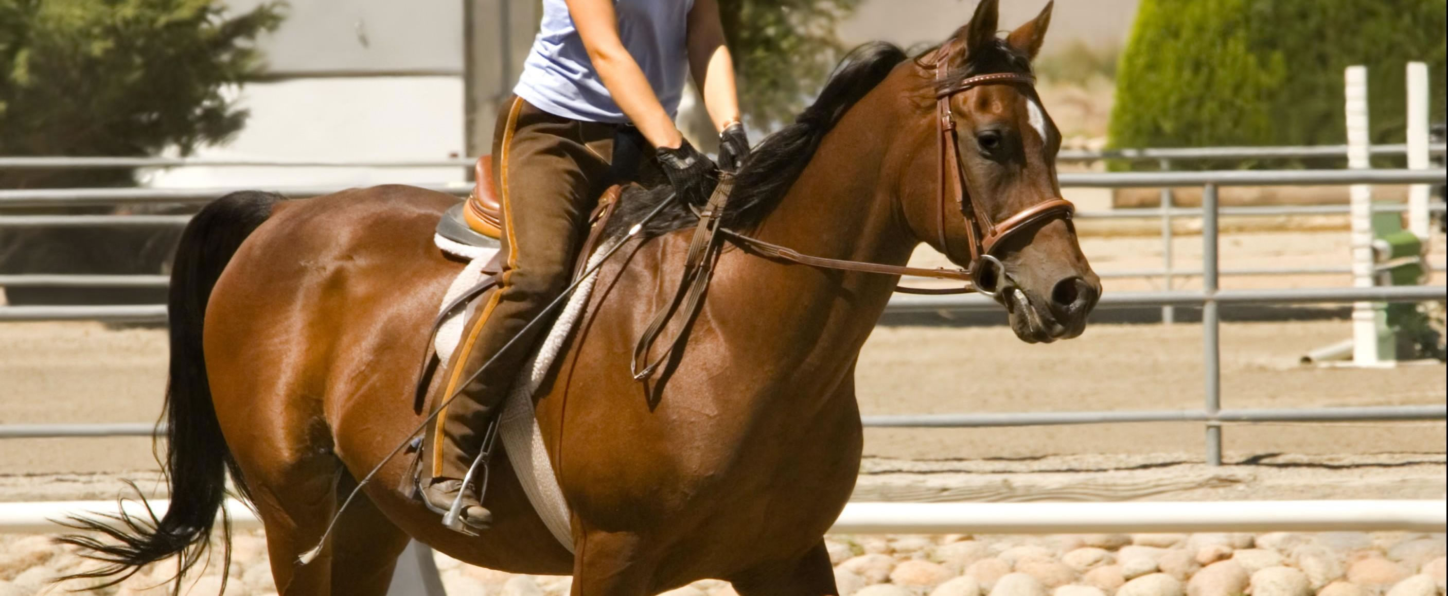 Horse Riding Holidays in Tuscany